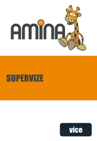 supervize